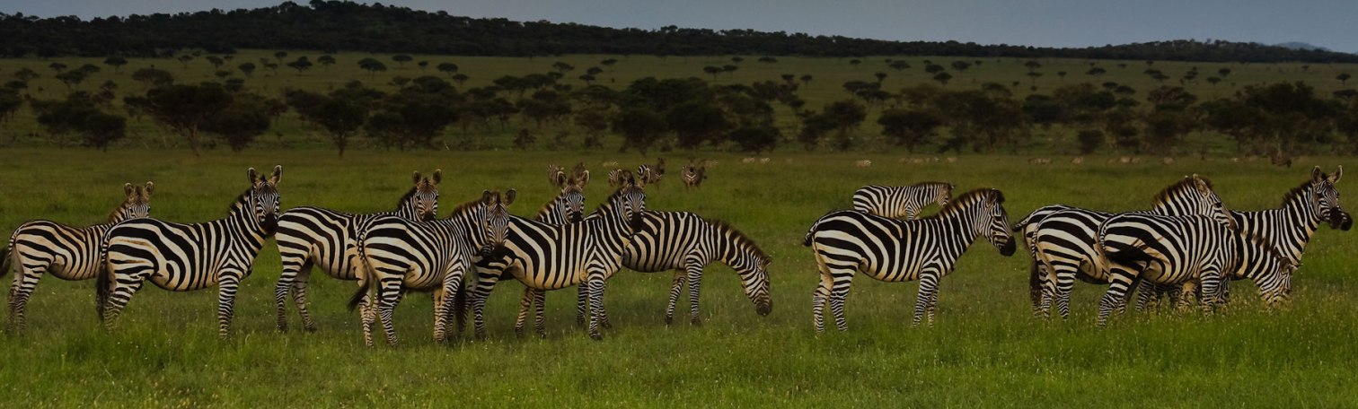 Serengeti National Park